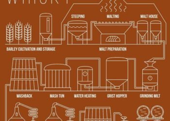 WannaWhisky Schematic overview of whisky production from barley cultivation to cask storage