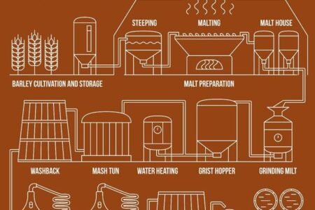 Schematic overview of whisky production from barley cultivation to cask storage