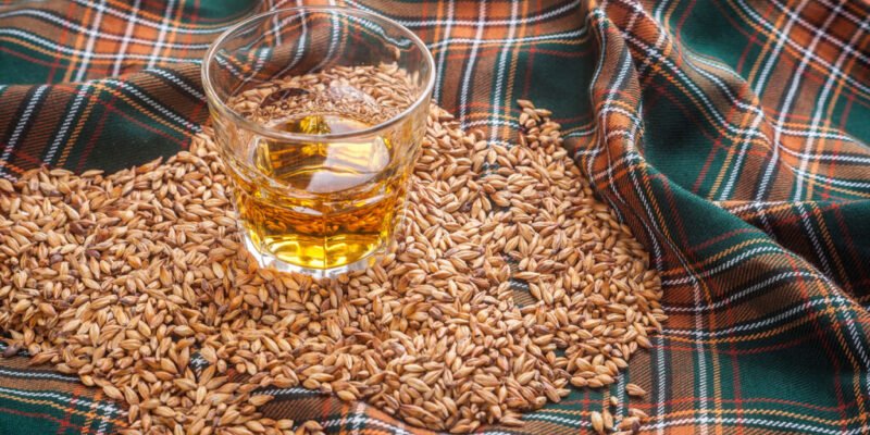 This Is What Whiskey Is Made Of