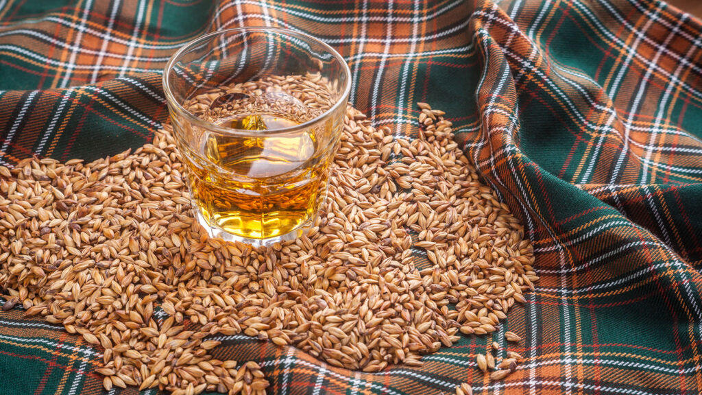 This Is What Whiskey Is Made Of