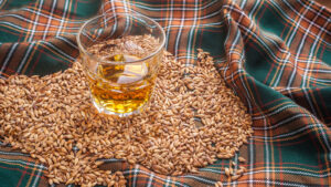 This Is What Whiskey Is Made Of